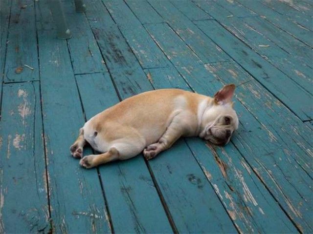 ruff_day-2_e