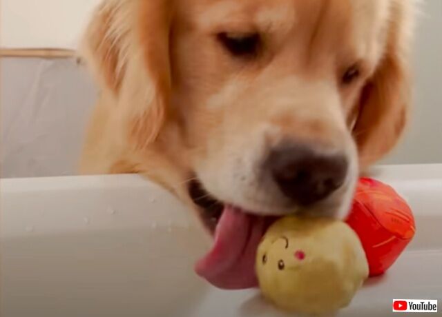 20231007_111157 (2)_batch