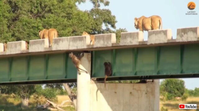 20230621_011825 (2)_batch