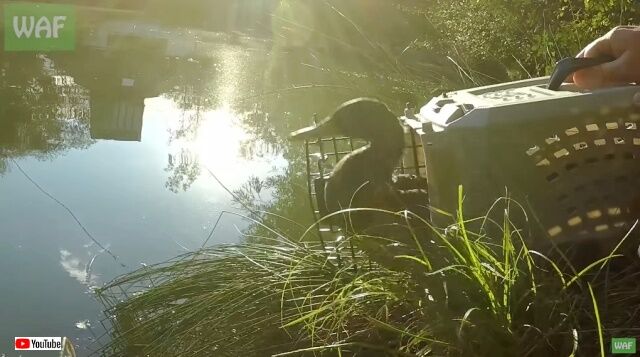 20221110_195126 (7)_batch