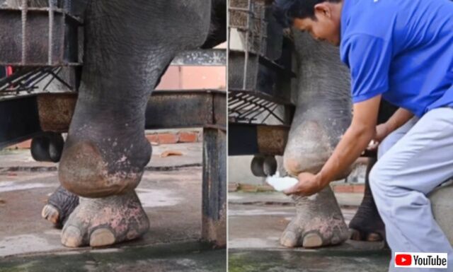 20231130_142704_batch