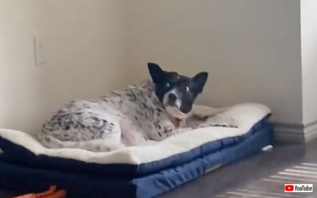 20221109_235517 (3)_batch