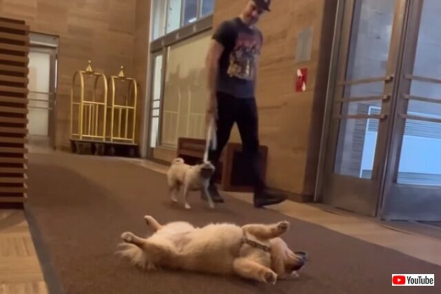 20220625_003009 (3)_batch