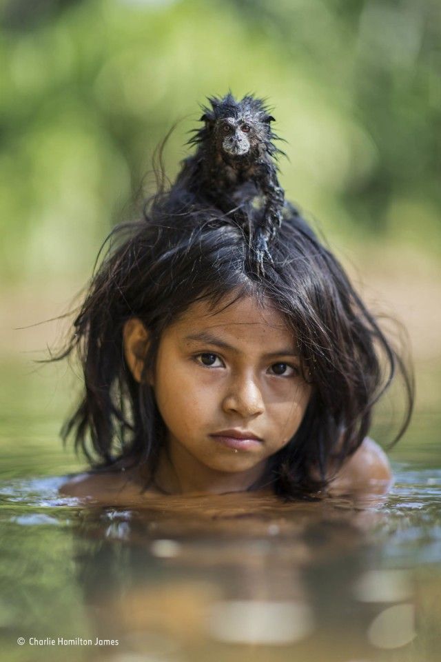 wildlife-photographer-of-the-year-61