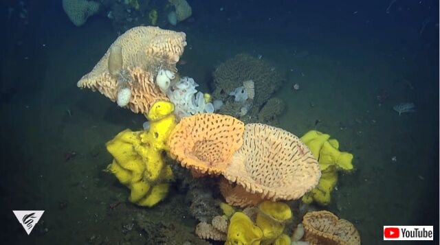 mbari7_640