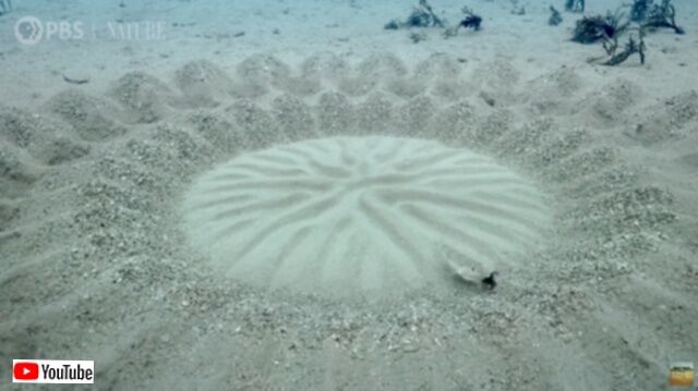 20231019_191457 (2)_batch