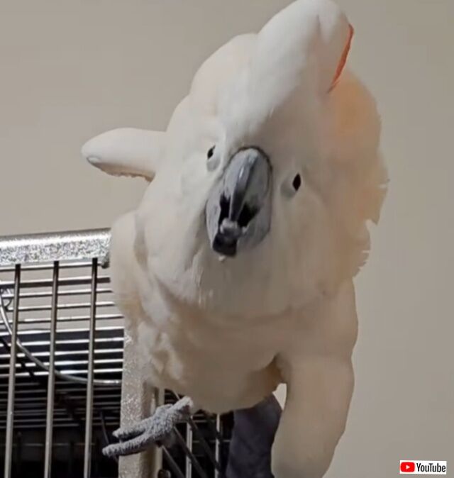 20230925_050957 (4)_batch