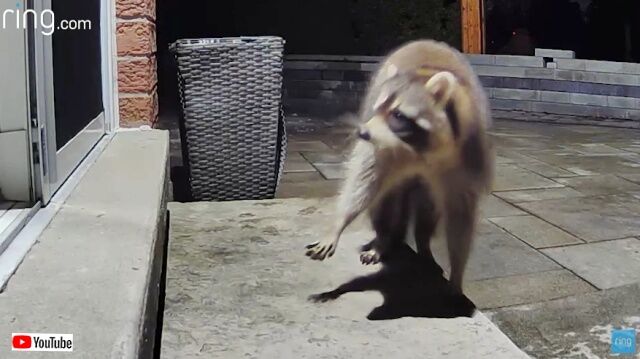20230418_100259 (6)_batch