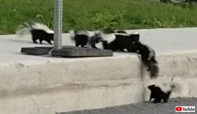 20220509_114912 (2)_batch