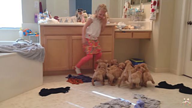9puppies1