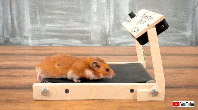 treadmill3_640