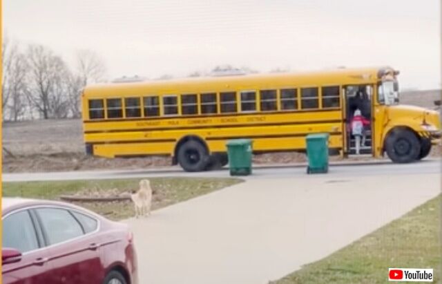 20230316_183320 (4)_batch