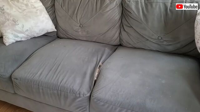 sofacat1_640