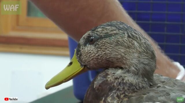 20221110_195126 (6)_batch