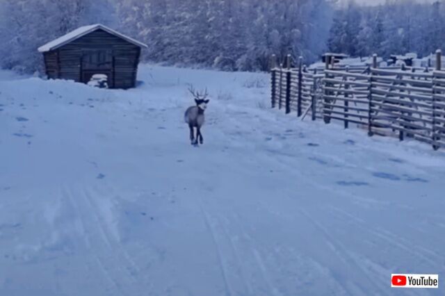 20231210_001729_batch