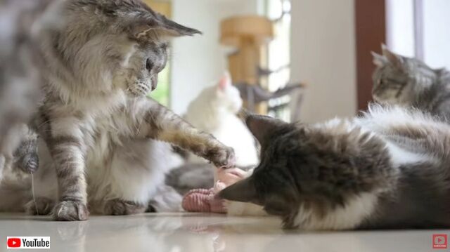 20230107_180517 (4)_batch