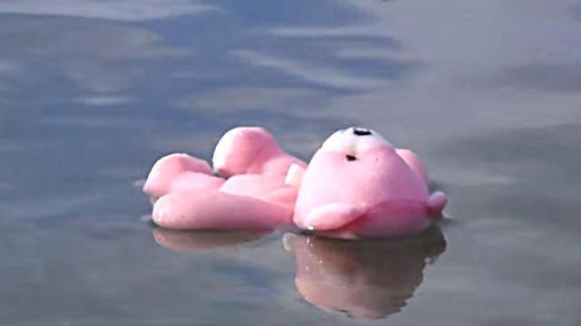 teddynoctopus2