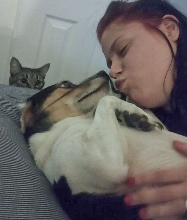 funny-jealous-pets-11-64242e9600b69__700_e