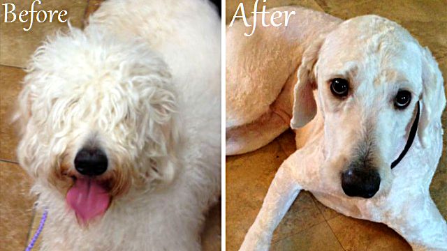 beforeafter22_ea
