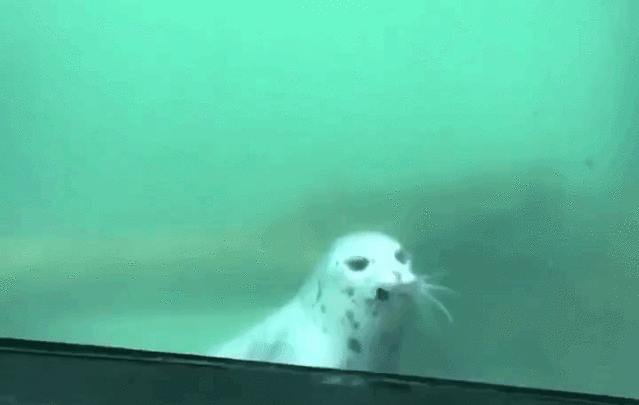Zcrpmt Jngnp0m Zcrpmt Jngnp0m