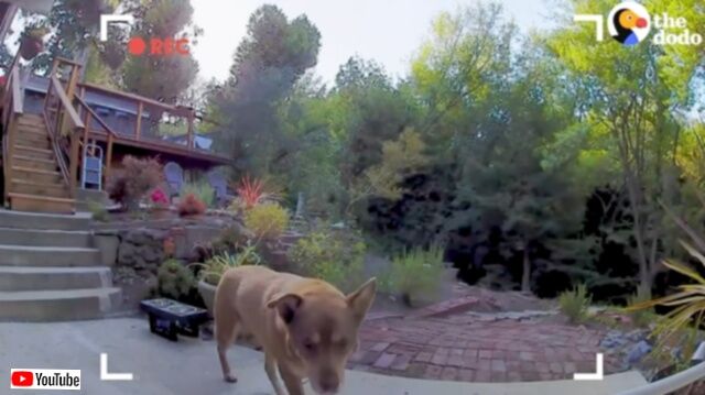 20231104_184657 (2)_batch