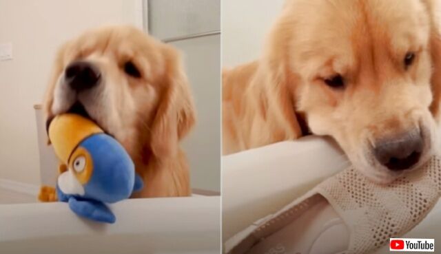 20231007_111201_batch