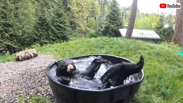 splashybath4_640