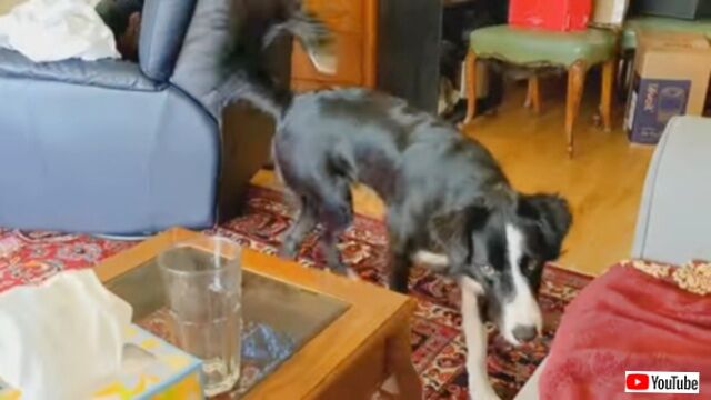 20231116_094207 (5)_batch