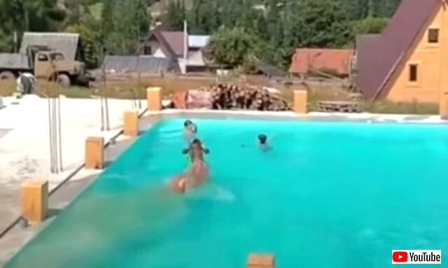cowjumpingintopool2_640