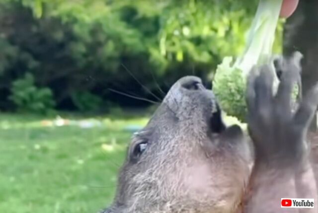 20230901_194703 (6)_batch