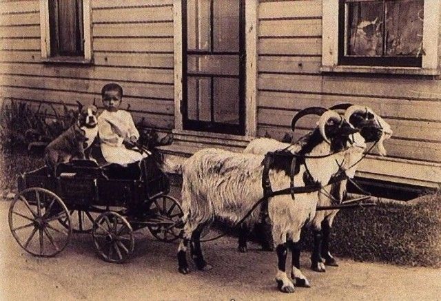 vintagephoto12_e