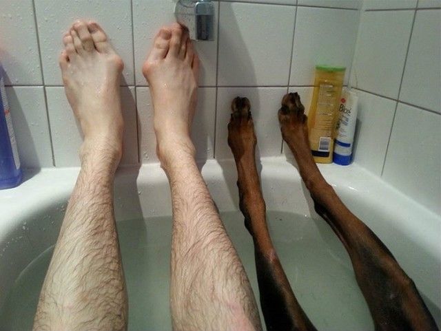 funny-tumblr-dogs-13-58131e2a68610__700_e