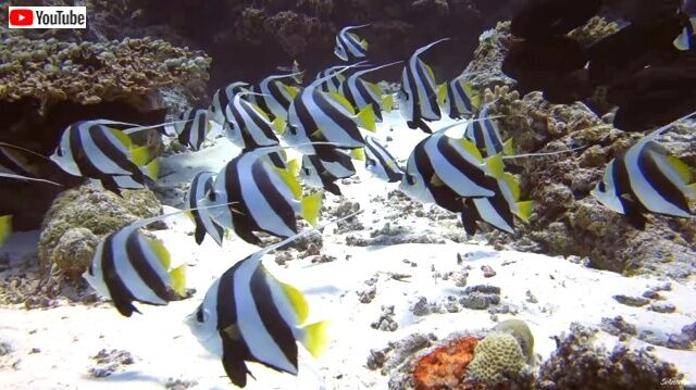 maldives10_640