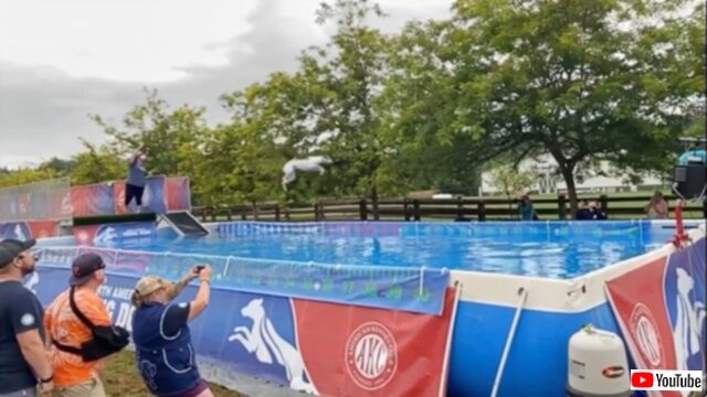20230802_164952 (3)_batch