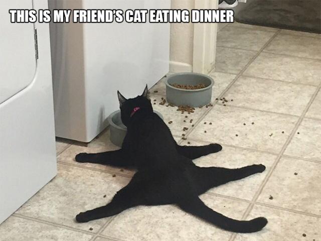 net]