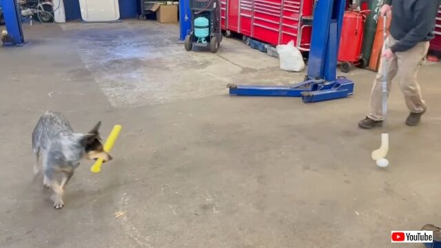 20221104_050324_batch