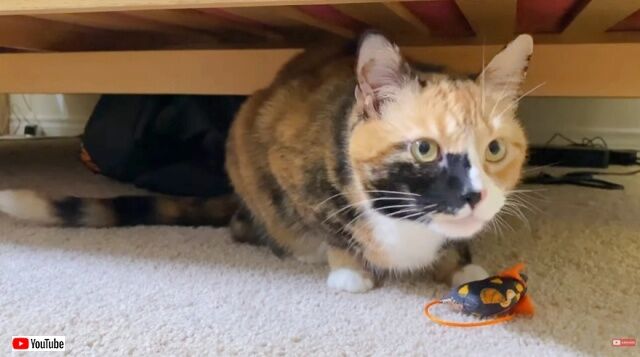 20221109_111926 (4)_batch