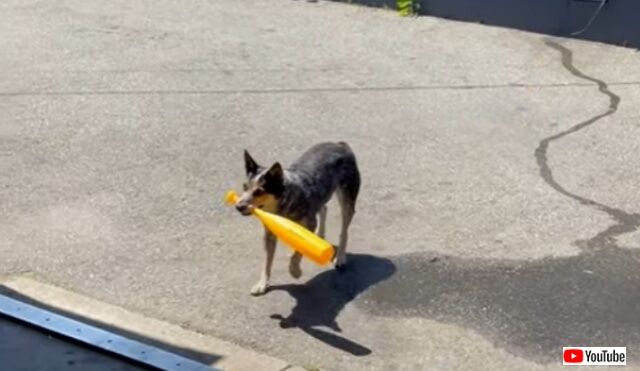 20220522_045718 (3)_batch