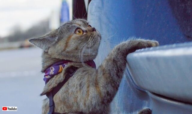 20230128_194141 (2)_batch