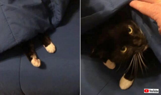 20231018_061448_batch