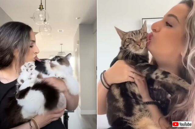 20220708_092019_batch