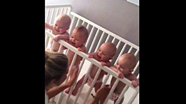 4babies4