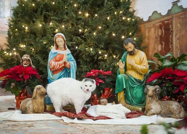 cats-crashing-nativity-scenes-101-5a27f1824692b__605_e