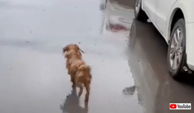 20240325_101541_batch