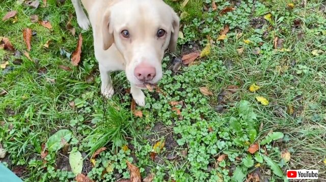 20221209_004719 (3)_batch