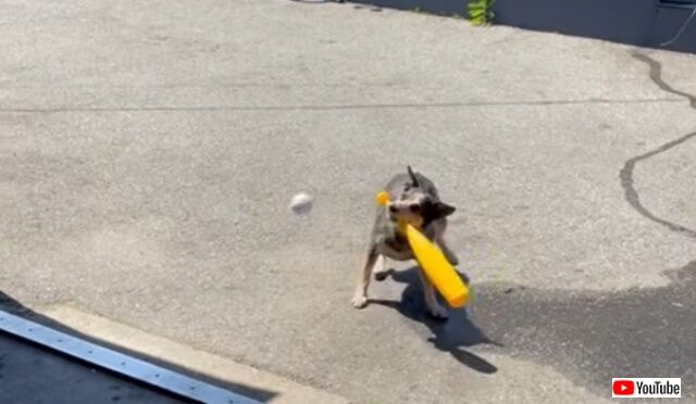 20220522_045718 (4)_batch