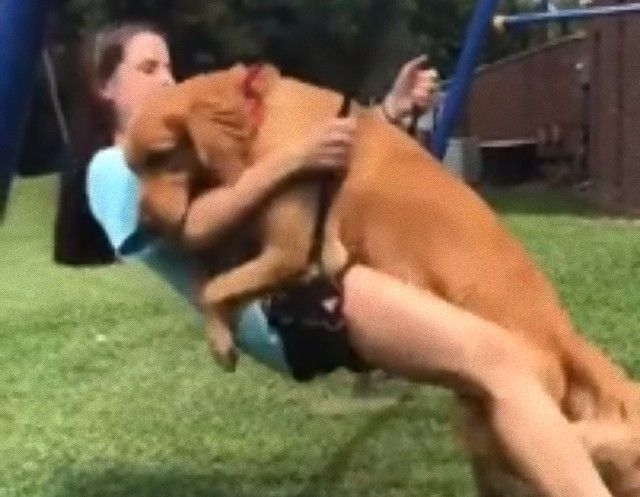 dogwantstoswing3_e