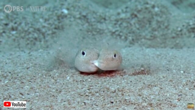 20231019_191457 (7)_batch