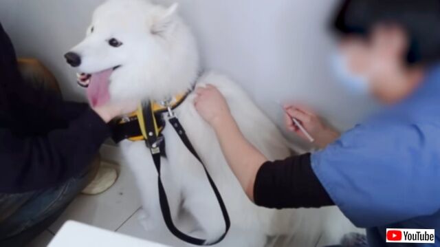 20240210_184615 (6)_batch