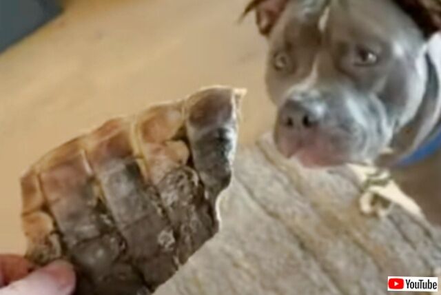 20231108_085614_batch